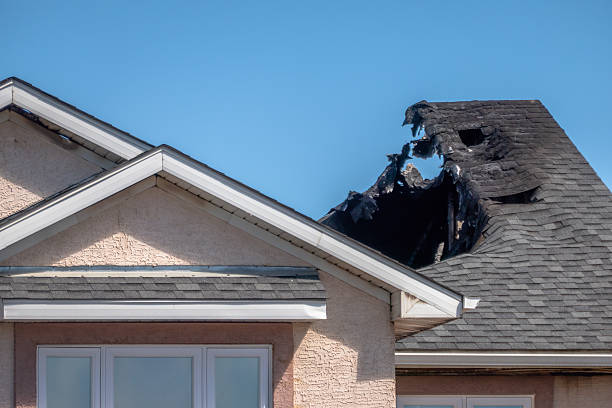 Licensed Odor Removal service in Alexandria, VA - Fire Damage Laser Cleaning